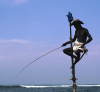 Sri Lanka - Weligama (Southern Province): stilt fisherman - traditional fishing method - photo by B.Cain