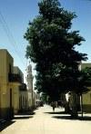 Wadi Halfa: street and mosque (photo by Galen Frysinger)