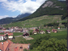 Switzerland - Suisse - Aigle: castle and vineyards / chateau et vigne (photo by Christian Roux)