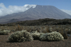 52 Tanzania - Kilimanjaro NP: Marangu Route - day 3 - Mount KIlimanjaro, the Kibo peak seen from the Mawenzi hut - photo by A.Ferrari