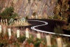 Tasmania - East Coast: winding road (photo by Picture Tasmania/S.Lovegrove)