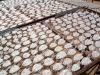 Thailand - Pranburi (Prachuap Khiri Khan province): squid drying (photo by Llonaid)