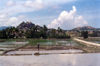 East Timor - Timor Leste: rice paddies - agriculture (photo by Mrio Tom)