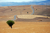 Adiyaman province, Southeastern Anatolia, Turkey: D360 road and pylons - Taurus mountains landscape - photo by W.Allgwer