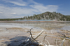 Yellowstone National Park, Wyoming, USA: Grand Prismatic Spring in the Midland Geyser Basin - the largest hot spring in the United States - photo by C.Lovell