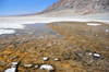 Death Valley National Park, California, USA: Badwater Basin - salt water at the lowest point in North America, 86 meters below sea level, a surreal landscape of vast salt flats - the wetlands are inhabited by rare snails - photo by M.Torres