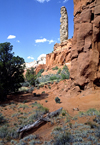 Kodachrome Basin State Park, Utah, USA: monolithic stone spire - sedimentary pipe - photo by C.Lovell