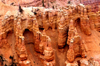 Cedar Breaks National Monument, Utah, USA: Hoodoos - erosion of the Colorado plateau - photo by C.Lovell