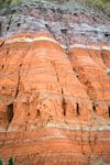 Palo Duro Canyon State Park, Texas, USA: eroded cliff side - rock strata cover the Permian age, Triassic age, Miocene-Pliocene age and Quarternary age - part of the Caprock Escarpment - Texas Panhandle - photo by M.Torres