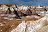 USA - Cocoa Mountains - Petrified Forest NP (Arizona) - Photo by G.Friedman