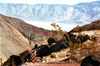 Death Valley (California): the edge overlooking the Mojave desert - Photo by G.Friedman