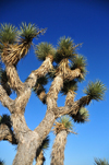 USA - Death Valley (California): the flats - photo by J.Fekete