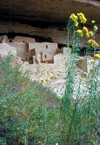 Mesa Verde National Park, Colorado, USA: Pueblo / Anasazi Indian ruins - Unesco world heritage site - Cliff Palace - photo by J.Fekete