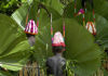 Vanuatu Dancers with palms, Loh Island - photo by B.Cain