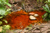 167 Venezuela - Bolivar - Canaima National Park - red water on the way to Salto Angel - photo by A. Ferrari