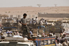 Bayt al-Faqih, Al Hudaydah governorate, Yemen: boy looking out over livestock section at weekly market - cattle trucks - photo by J.Pemberton