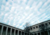 Novi Sad, Vojvodina, Serbia: waves in the sky - Stratocumulus clouds - photo by M.Torres